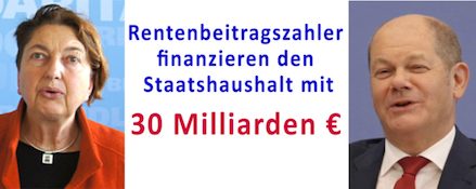 Rentenbeitragszahler finanzieren den Staatshaushalt mit 30 Milliarden €.